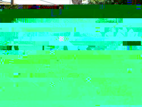 DSCF8213.jpg