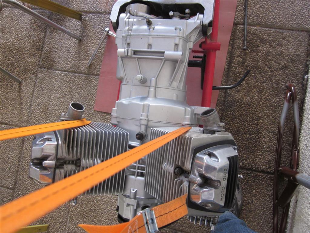 6 (Large).jpg