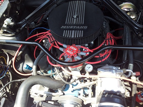 20120426_115609.jpg