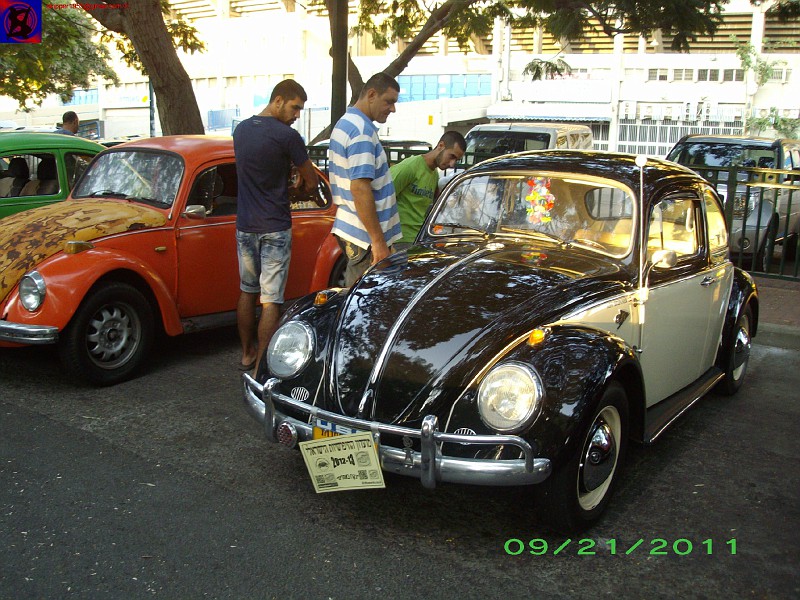 imgp1678.jpg