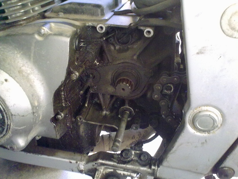 06042013781.jpg