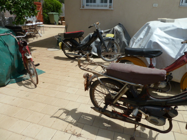 P1010459.JPG