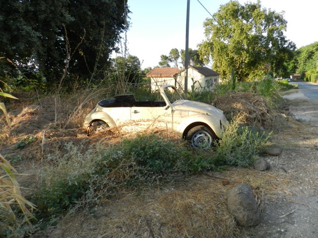 DSCN5607.jpg