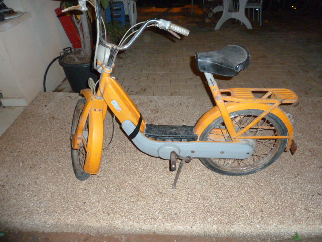P1010233.JPG
