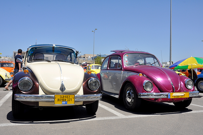 DSC_0031.JPG