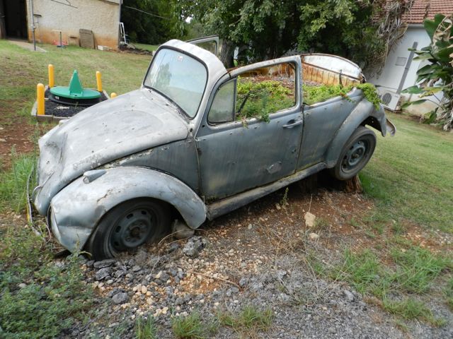 DSCN5644.jpg