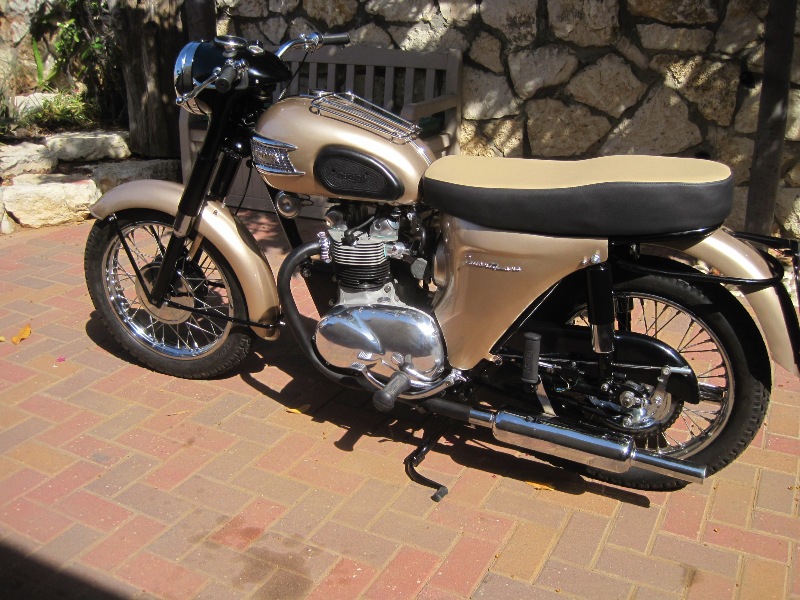 End Triumph Project (1).JPG